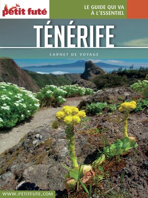 cover image of TÉNÉRIFE 2017 Carnet Petit Futé